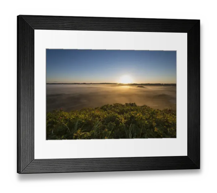 Framed Print : Fog over dunes and heathland at sunrise, Henne, Region of Southern Denmark, Denmark Framed Print : Fog over dunes and heathland at sunrise, Henne, Region of Southern Denmark, Denmark