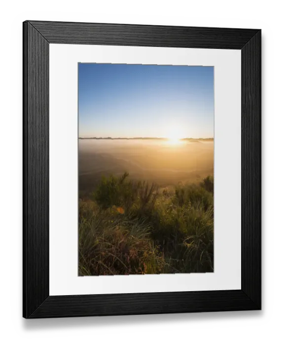 Framed Print : Fog over dunes and heathland at sunrise, Henne, Region of Southern Denmark, Denmark Framed Print : Fog over dunes and heathland at sunrise, Henne, Region of Southern Denmark, Denmark