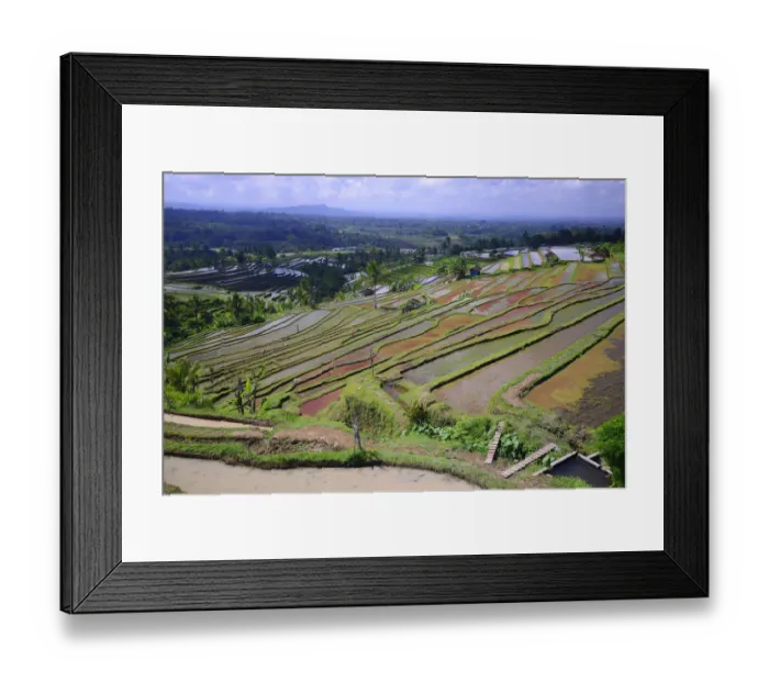 Framed Print : The famous rice terraces of Jatiluwih, Bali, Indonesia Framed Print : The famous rice terraces of Jatiluwih, Bali, Indonesia