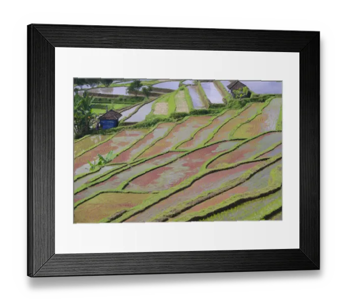 Framed Print : The famous rice terraces of Jatiluwih, Bali, Indonesia Framed Print : The famous rice terraces of Jatiluwih, Bali, Indonesia