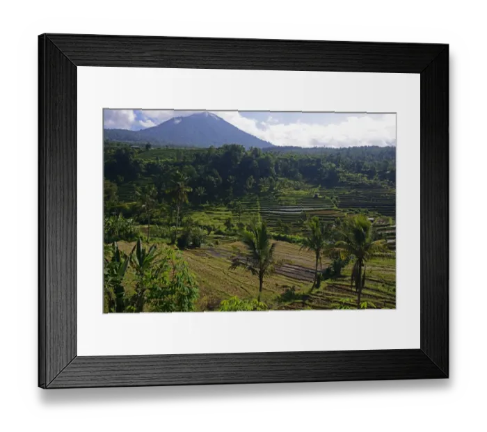 Framed Print : The famous rice terraces of Jatiluwih, Bali, Indonesia Framed Print : The famous rice terraces of Jatiluwih, Bali, Indonesia