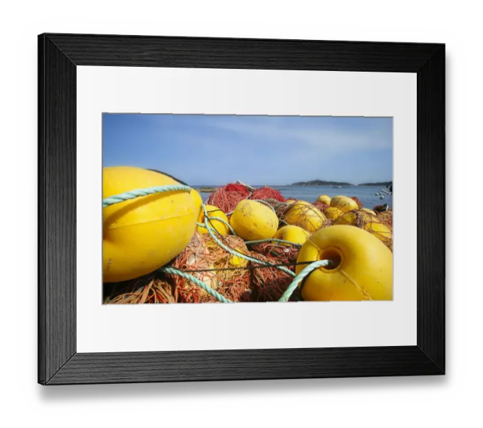 Framed Print : Fishing net, Corsica, France