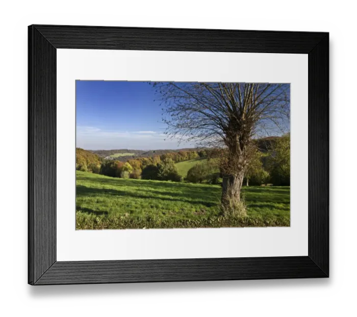 Framed Print : Autumnal landscape in Elfringhauser Schweiz region, Hattingen, Ruhr Area, North Rhine-Westphalia, Germany Framed Print : Autumnal landscape in Elfringhauser Schweiz region, Hattingen, Ruhr Area, North Rhine-Westphalia, Germany