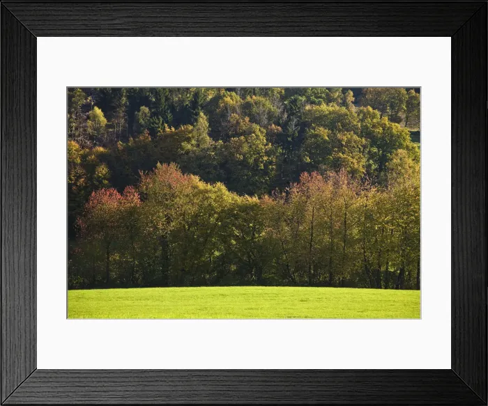 Framed Print : Autumnal landscape in Elfringhauser Schweiz region, Hattingen, Ruhr Area, North Rhine-Westphalia, Germany Framed Print : Autumnal landscape in Elfringhauser Schweiz region, Hattingen, Ruhr Area, North Rhine-Westphalia, Germany