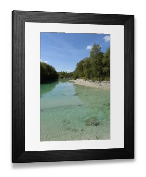 Framed Print : Upper Isar River, at the sediment barrier, nature reserve, Isar valley, Tolzer Land, Upper Bavaria, Bavaria, Germany