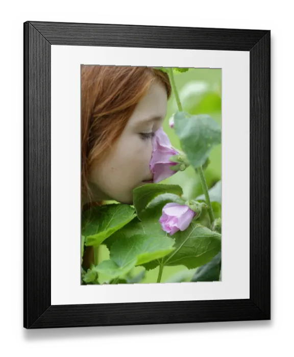 Framed Print : Girl smelling a Hollyhock -Alcea rosea- Framed Print : Girl smelling a Hollyhock -Alcea rosea-