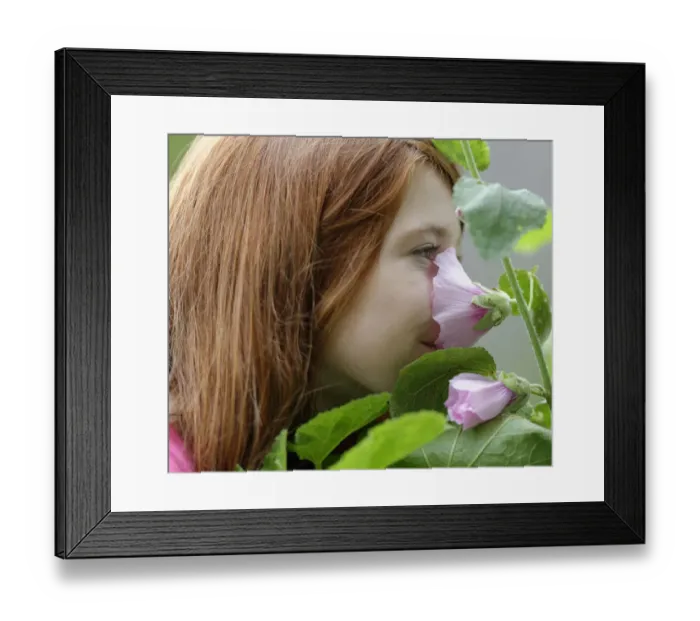 Framed Print : Girl smelling a Hollyhock -Alcea rosea- Framed Print : Girl smelling a Hollyhock -Alcea rosea-