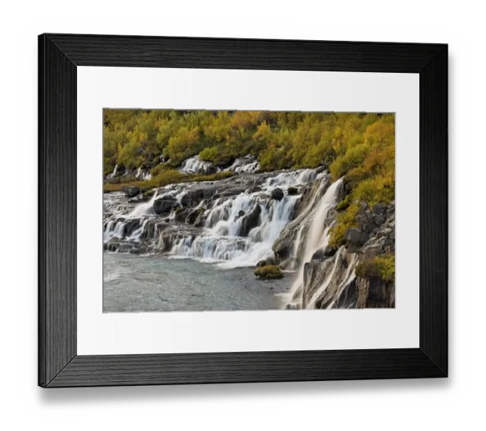 Framed Print : Hraunfossar, waterfalls of the Hvita river in autumn, near Husafell and Reykholt, Iceland Framed Print : Hraunfossar, waterfalls of the Hvita river in autumn, near Husafell and Reykholt, Iceland