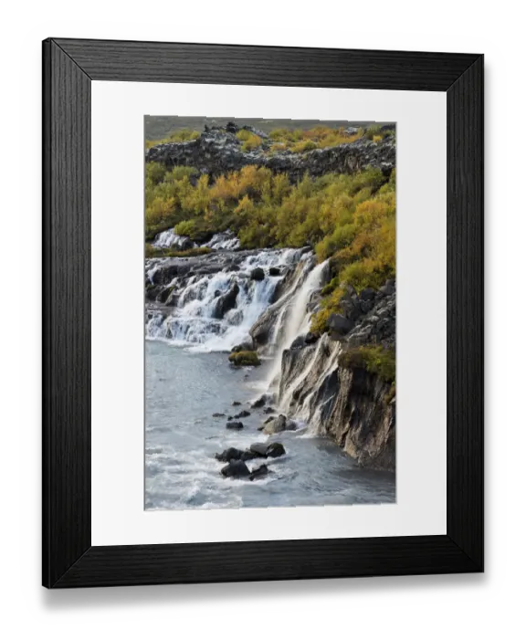 Framed Print : Hraunfossar, waterfalls of the Hvita river in autumn, near Husafell and Reykholt, Iceland Framed Print : Hraunfossar, waterfalls of the Hvita river in autumn, near Husafell and Reykholt, Iceland