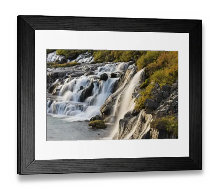 Framed Print : Hraunfossar, waterfalls of the Hvita river in autumn, near Husafell and Reykholt, Iceland Framed Print : Hraunfossar, waterfalls of the Hvita river in autumn, near Husafell and Reykholt, Iceland