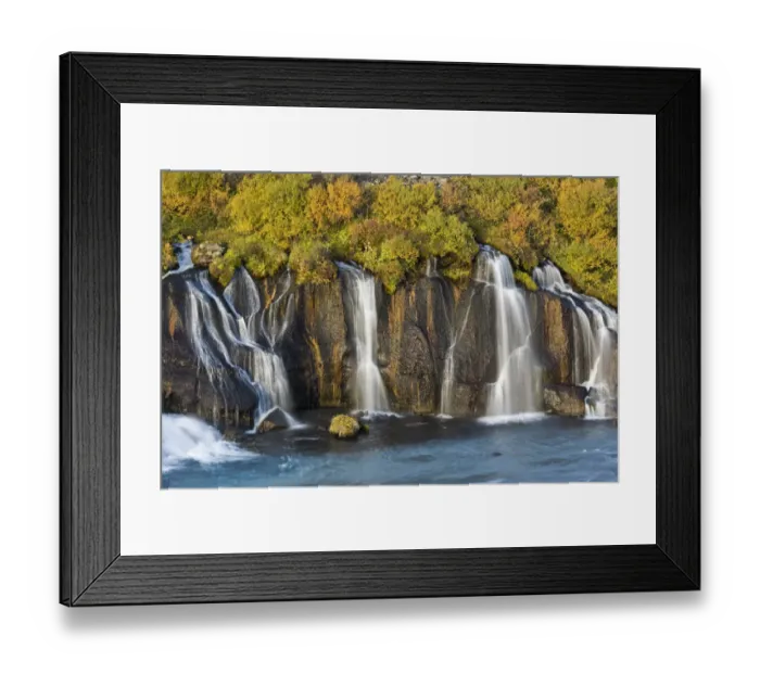 Framed Print : Hraunfossar, waterfalls of the Hvita river in autumn, near Husafell and Reykholt, Iceland Framed Print : Hraunfossar, waterfalls of the Hvita river in autumn, near Husafell and Reykholt, Iceland