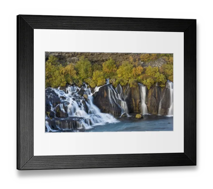 Framed Print : Hraunfossar, waterfalls of the Hvita river in autumn, near Husafell and Reykholt, Iceland Framed Print : Hraunfossar, waterfalls of the Hvita river in autumn, near Husafell and Reykholt, Iceland