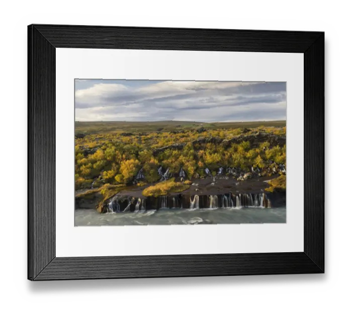 Framed Print : Hraunfossar, waterfalls of the Hvita river in autumn, near Husafell and Reykholt, Iceland Framed Print : Hraunfossar, waterfalls of the Hvita river in autumn, near Husafell and Reykholt, Iceland