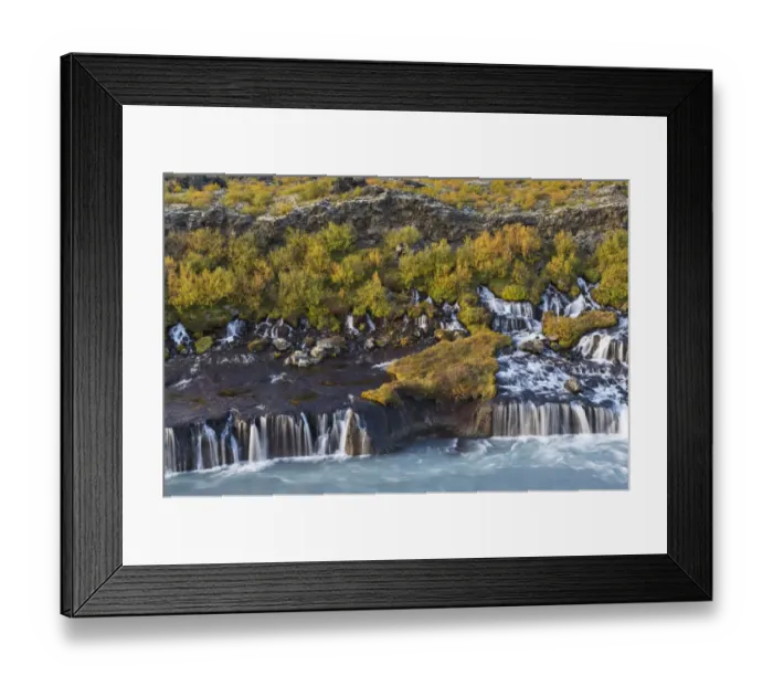 Framed Print : Hraunfossar, waterfalls of the Hvita river in autumn, near Husafell and Reykholt, Iceland Framed Print : Hraunfossar, waterfalls of the Hvita river in autumn, near Husafell and Reykholt, Iceland