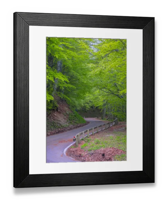 Framed Print : Mountain road in the forest, Monte Catria, Apennines, Marche, Italy Framed Print : Mountain road in the forest, Monte Catria, Apennines, Marche, Italy