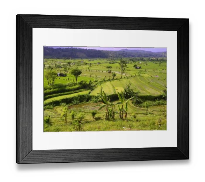 Framed Print : Rice paddies and rice terraces, Bali, Indonesia