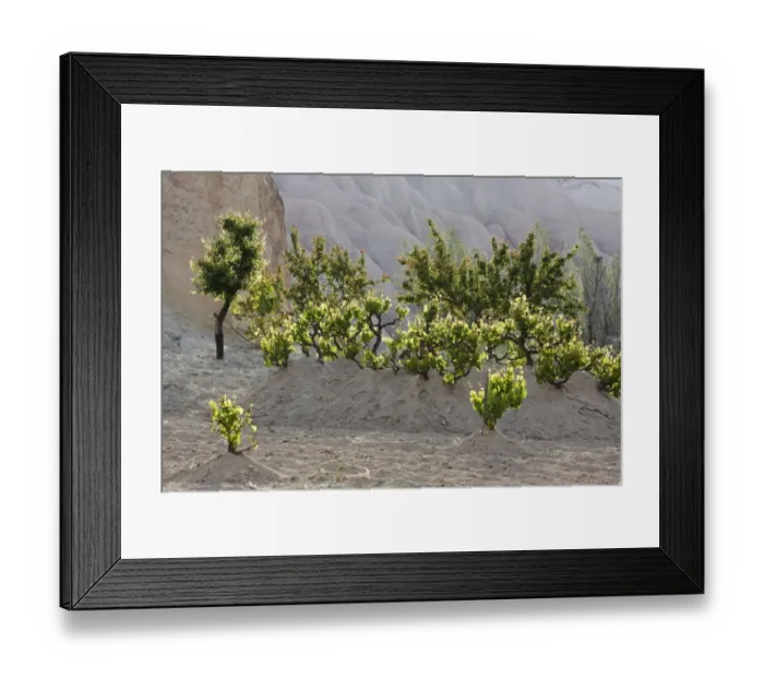 Framed Print : Vines, tufa formations, Goreme National Park, Cappadocia, Central Anatolia Region, Anatolia, Turkey Framed Print : Vines, tufa formations, Goreme National Park, Cappadocia, Central Anatolia Region, Anatolia, Turkey