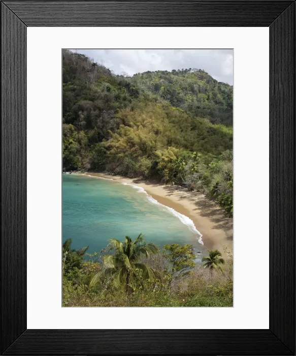 Framed Print : Sandy beach, Parlatuvier Bay, Tobago, Trinidad and Tobago Framed Print : Sandy beach, Parlatuvier Bay, Tobago, Trinidad and Tobago