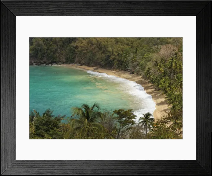Framed Print : Sandy beach, Parlatuvier Bay, Tobago, Trinidad and Tobago Framed Print : Sandy beach, Parlatuvier Bay, Tobago, Trinidad and Tobago