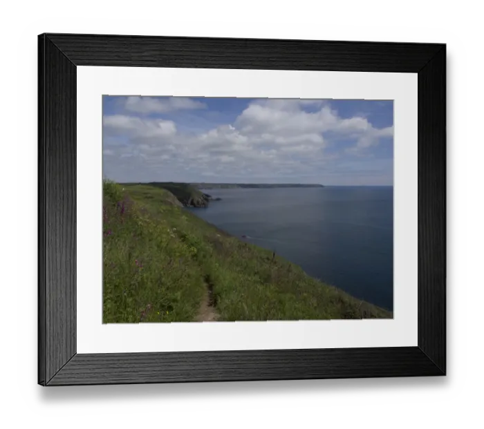 Framed Print : Coast, South-West Coast Path in Cornwall, Great Britain Framed Print : Coast, South-West Coast Path in Cornwall, Great Britain