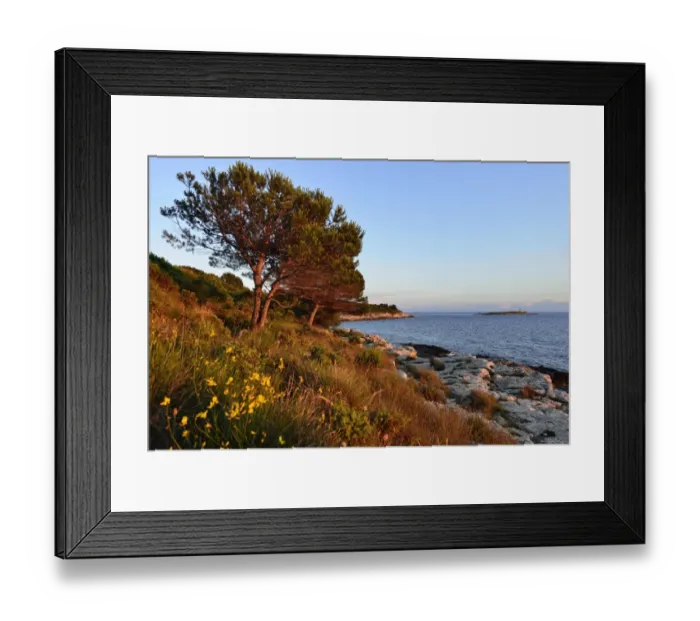 Framed Print : Coast in the evening light, Cape Kamenjak, Premantura, Istria, Croatia Framed Print : Coast in the evening light, Cape Kamenjak, Premantura, Istria, Croatia