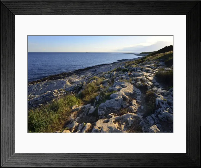 Framed Print : Coast in the evening light, Cape Kamenjak, Premantura, Istria, Croatia Framed Print : Coast in the evening light, Cape Kamenjak, Premantura, Istria, Croatia