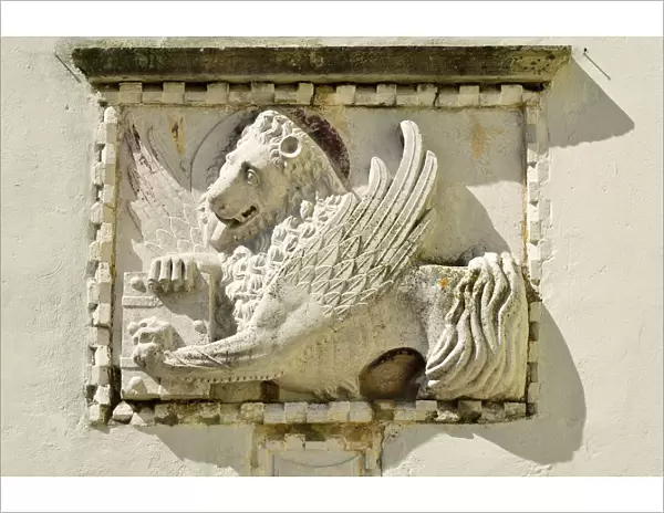 Venetian lion at the town gate, Motovun, Montona, Istria, Croatia