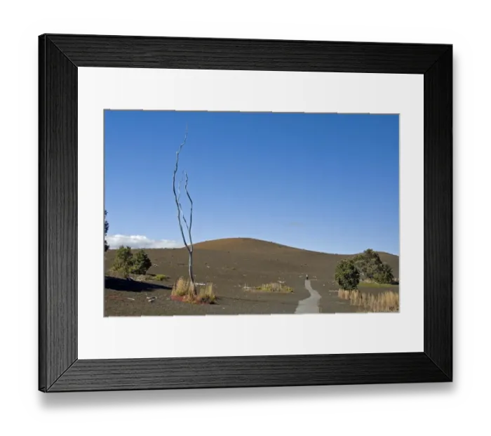 Framed Print : Devastation Trail through lava landscape, Hawaii Volcanoes National Park, Kilauea, Big Island, Hawaii, United States Framed Print : Devastation Trail through lava landscape, Hawaii Volcanoes National Park, Kilauea, Big Island, Hawaii, United States