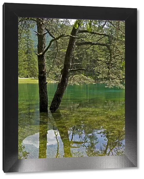 Gruner See or Green Lake, Tragoss, Styria, Austria
