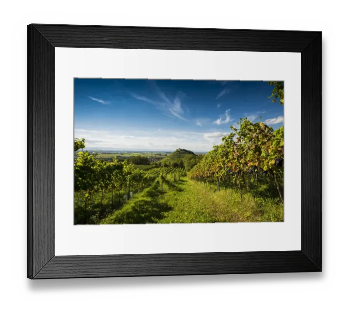 Framed Print : Vineyards and Staufen castle, behind the Rhine Valley, Staufen im Breisgau, Markgraflerland, Black Forest, Baden-Wurttemberg, Germany Framed Print : Vineyards and Staufen castle, behind the Rhine Valley, Staufen im Breisgau, Markgraflerland, Black Forest, Baden-Wurttemberg, Germany