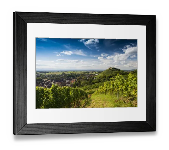 Framed Print : Vineyards and Staufen castle, behind the Rhine Valley, Staufen im Breisgau, Markgraflerland, Black Forest, Baden-Wurttemberg, Germany Framed Print : Vineyards and Staufen castle, behind the Rhine Valley, Staufen im Breisgau, Markgraflerland, Black Forest, Baden-Wurttemberg, Germany