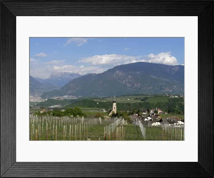 Framed Print : Wine growing, at St. Pauls on the Wine Route, Uberetsch South Tyrol, Italy Framed Print : Wine growing, at St. Pauls on the Wine Route, Uberetsch South Tyrol, Italy