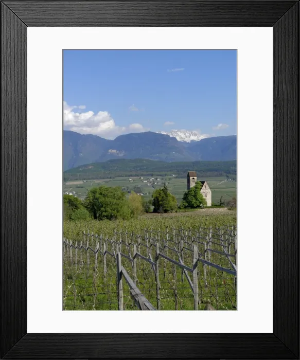 Framed Print : Wine growing at the castle church of St. Sebastian, Schloss Englar in Appiano on the Wine Route, Uberetsch, South Tyrol, Italy Framed Print : Wine growing at the castle church of St. Sebastian, Schloss Englar in Appiano on the Wine Route, Uberetsch, South Tyrol, Italy