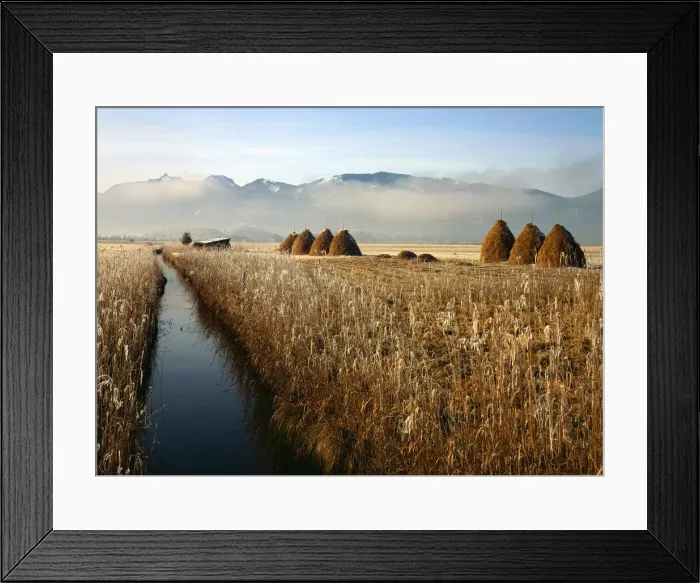 Framed Print : Murnau Moor, Murnauer Moos, in front of the mountains Ettaler Mandl and Laber, Upper Bavaria, Bavaria, Germany Framed Print : Murnau Moor, Murnauer Moos, in front of the mountains Ettaler Mandl and Laber, Upper Bavaria, Bavaria, Germany