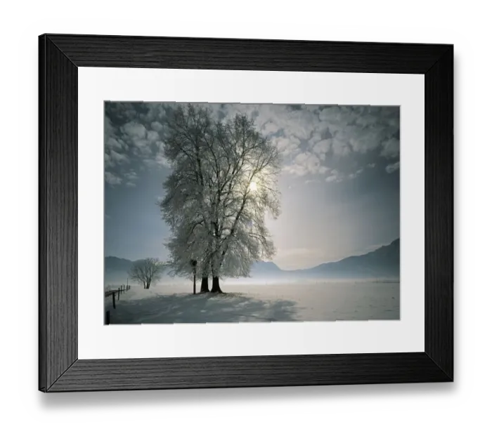 Framed Print : Winter on Lake Kochel, Upper Bavaria, Bavaria, Germany Framed Print : Winter on Lake Kochel, Upper Bavaria, Bavaria, Germany