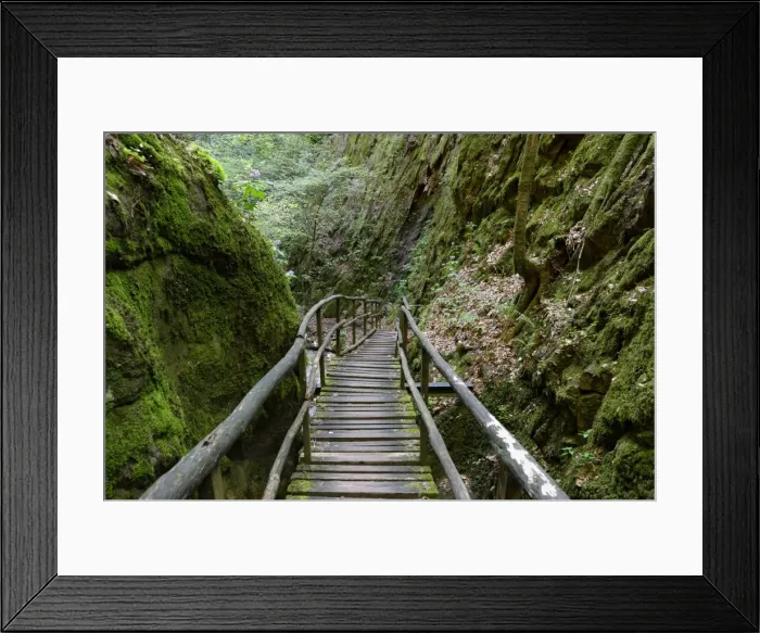 Framed Print : Rastenbachklamm, at Altenburg, Kaltern, Uberetsch, South Tyrolean Unterland, South Tyrol, Italy Framed Print : Rastenbachklamm, at Altenburg, Kaltern, Uberetsch, South Tyrolean Unterland, South Tyrol, Italy