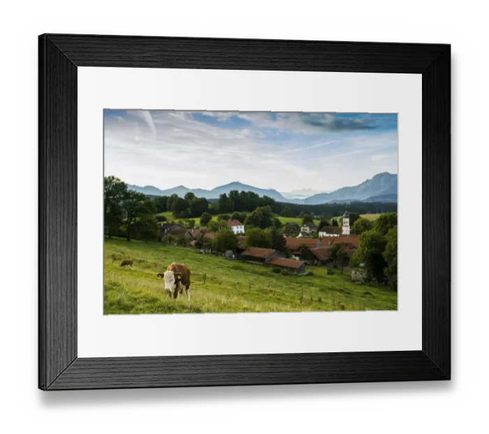Framed Print : Morning atmosphere, Aidling, Upper Bavaria, Bavaria, Germany Framed Print : Morning atmosphere, Aidling, Upper Bavaria, Bavaria, Germany