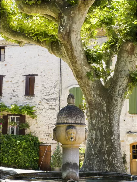 Medieval fountain, Vaison-La-Romaine, Vaucluse, Provence-Alpes-Cote dAzur, Provence, France