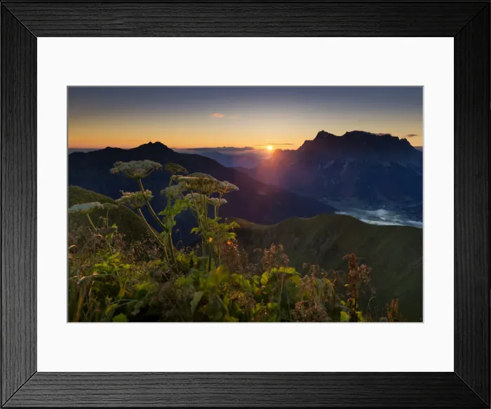 Framed Print : Mt Zugspitze with Hogweed -Heracleum sphondylium- at sunrise, Berwang, Lechtal Valley, Reutte District, Tyrol, Austria Framed Print : Mt Zugspitze with Hogweed -Heracleum sphondylium- at sunrise, Berwang, Lechtal Valley, Reutte District, Tyrol, Austria