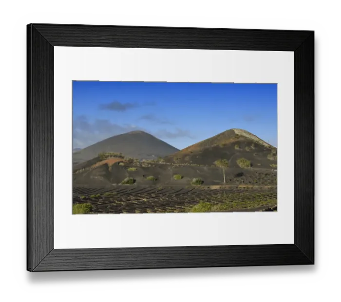 Framed Print : Worldwide unique viniculture, vines growing in dry pits on volcanic ash, lava, wine growing region of La Geria, Lanzarote, Canary Islands, Spain Framed Print : Worldwide unique viniculture, vines growing in dry pits on volcanic ash, lava, wine growing region of La Geria, Lanzarote, Canary Islands, Spain