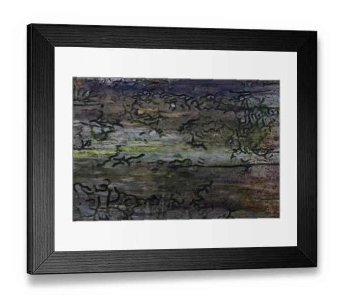 Framed Print : Bark Beetle -Scolytinae- larval galleries, Germany Framed Print : Bark Beetle -Scolytinae- larval galleries, Germany