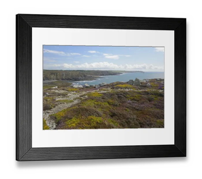 Framed Print : Pointe de Dinan, Crozon peninsula, Departement Finistere, Brittany, France Framed Print : Pointe de Dinan, Crozon peninsula, Departement Finistere, Brittany, France
