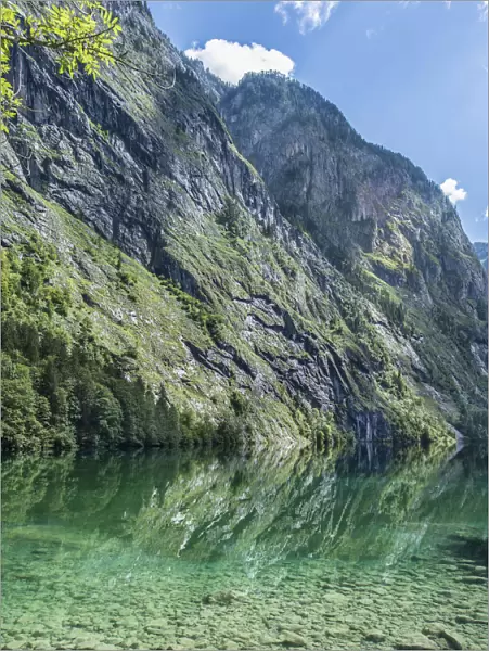 Upper Lake with reflection, Salet am Konigssee, Berchtesgaden National Park, Berchtesgadener Land district, Upper Bavaria, Bavaria, Germany