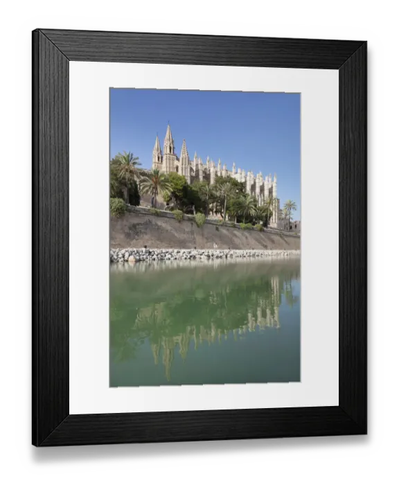 Framed Print : Palma Cathedral at the marine park Parc de la Mar, Palma de Majorca, Majorca, Balearic Islands, Spain