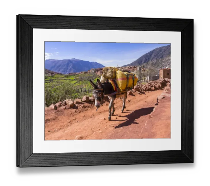 Framed Print : Burro or pack mule carrying a heavy load on a path in the Atlas Mountains, mud-brick village of Anammer at the back, Ourika Valley, Marrakech-Tensift-Al Haouz, Morocco