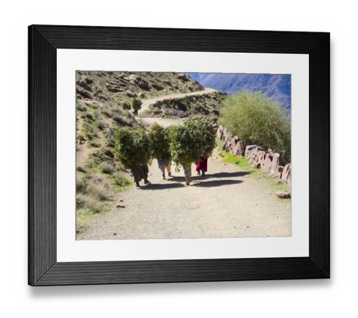 Framed Print : Women carrying heavy loads on a path in the Atlas Mountains, in the mud-brick village of Anammer, Ourika Valley, Marrakech-Tensift-Al Haouz, Morocco Framed Print : Women carrying heavy loads on a path in the Atlas Mountains, in the mud-brick village of Anammer, Ourika Valley, Marrakech-Tensift-Al Haouz, Morocco