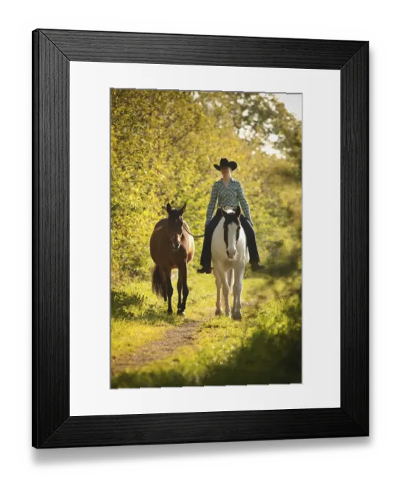 Framed Print : Female western rider on a Paint Horse, Black Tobiano colour pattern, leading a bay Shagya Arabian horse, riding bareback through the forest, Munsterland, North Rhine-Westphalia, Germany Framed Print : Female western rider on a Paint Horse, Black Tobiano colour pattern, leading a bay Shagya Arabian horse, riding bareback through the forest, Munsterland, North Rhine-Westphalia, Germany