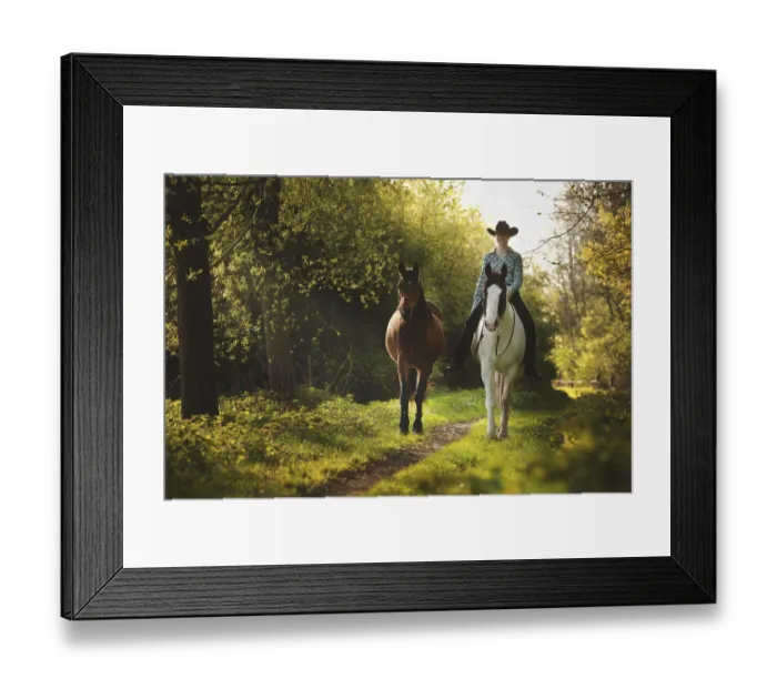 Framed Print : Female western rider on a Paint Horse, Black Tobiano colour pattern, leading a bay Shagya Arabian horse, riding bareback through the forest, Munsterland, North Rhine-Westphalia, Germany