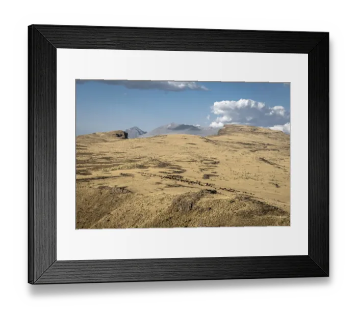Framed Print : Cattle herd, Simien Mountains National Park, Ras Dashen, Ethiopia Framed Print : Cattle herd, Simien Mountains National Park, Ras Dashen, Ethiopia