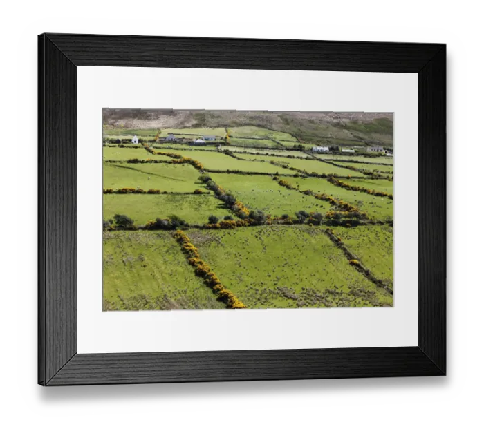 Framed Print : Pasture landscape with hedges, Dingle Peninsula, County Kerry, Ireland, British Isles, Europe Framed Print : Pasture landscape with hedges, Dingle Peninsula, County Kerry, Ireland, British Isles, Europe